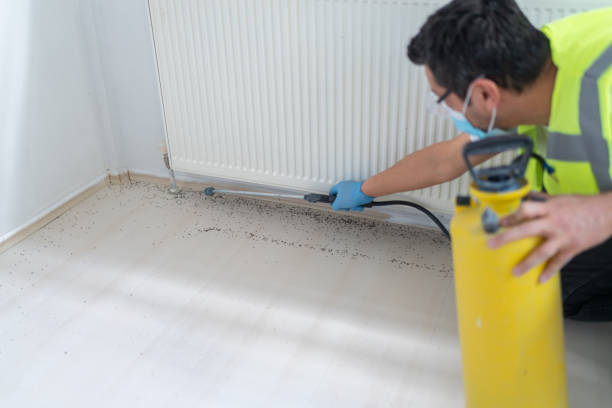 Best Local Pest Control Services  in Selma, AL